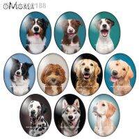 ✿ Fashion Lovely Dog Pets Head Photos 13x18mm/18x25mm/30x40mm Oval photo glass cabochon flat back Making findings