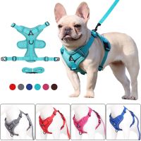 Puppy Dog Harness Vest and Leash Set Adjust Nylon Cat Harness Reflective Breathable Mesh Pet Chest Straps for Small Medium Dogs Collars