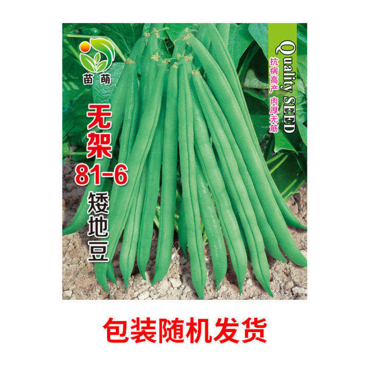 Unframed string bean seeds earlymaturing highyield bean seeds 50