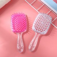 【CC】 Transparent Hollow Mesh Comb Wet Dry Dual-Use Scalp Massage Hair Out Hairdressing