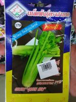 เมล็ดพันธุ์ เซเลอรี่ celery ต้นใหญ่ กรอบ อร่อย สีสวย ดูแลน้อย ต้นแข็งแรง ปลูกง่าย น้ำหนักดี ผลผลิตสูง ทนโรค