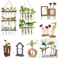 【CW】△✙◆  Wall Hanging Glass Ins Terrarium Bud Vase with Test Tube Holder Office Garden Wedding Decoration