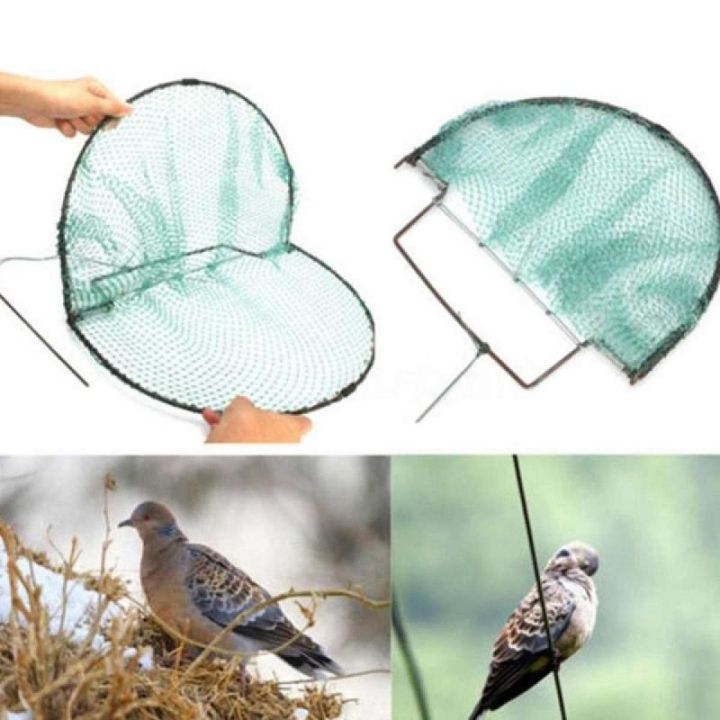 Practical Gardening: Homemade Bird Trap - Retrieving Trapped Birds