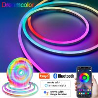 RGBIC LED Neon Strip Lights 12V Dream Color Rainbow Waterproof RGB Flexible Lamp Tape Tuya APP WiFi/Bluetooth Control Alexa