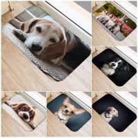 〖Cozyroom shop〗 Funny Dog Bath Mats Cute Husky Animal Pet Pattern Non Slip Rug Doormat Outdoor Home Kitchen Living Room Floor Mat Flannel Carpet