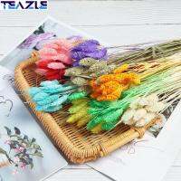 TEAZLE 20ชิ้นต้นวัตถุธรรมชาติหลากสีของตกแต่งงานแต่งงานลำต้นเทียมหางกระต่ายลากูรุสโอวาตัสหญ้าเทียมช่อดอกไม้ปลอม