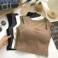 พร้อมส่งจากไทย?Sanay Bra?(F711)เสื้อครอป ผ้าร่องนุ่มทรงสวยใส่สบาย