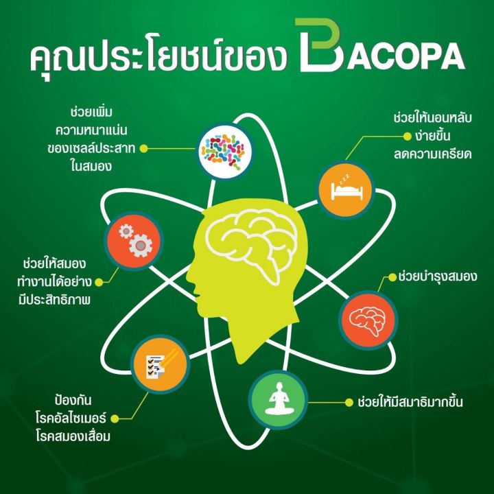 บาโคพา-bacopa-ผลิตภัณฑ์เสริมอาหาร-สารสกัดจากพรมมิ-ผสมวิตามินซี-วิตามินบี-12-และวิตามินบี-6