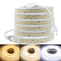 320LED/m LED Strip Light Oblique 5 Rows SMD 2835 Dimmable Super Bright AC 220V 230V 240V Rope Lights IP67 Outdoor Indoor Decor LED Strip Lighting