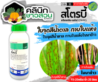 ? สโตรบี้ (ครีซอกซิม-เมทิล) บรรจุ 100กรัม ป้องกันกำจัดโรคใบจุดสีน้ำตาล