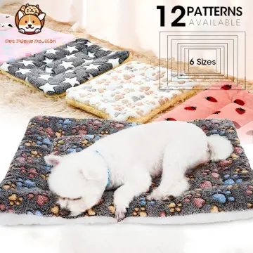 Shih tzu 2024 bed size