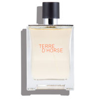 ส่งจากกรุงเทพ น้ำหอมผู้ชาย TERRE DHORSE 100ml หัวสเปย์ฉีด กลิ่นหอม ติดทน ยั่วสุด น้ำหอมผู้ชายsexy