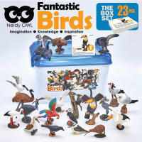 ชุดหุ่นโมเดลนก 23 ตัว พร้อมมินิแฟลชการ์ด 23 ใบคู่กัน Fantastic Birds