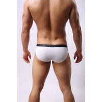 Men Nylon Underwear Low Waist Briefs Male Bikini