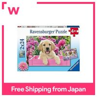 Ravensburger ตัวต่อจิกซอว์05029 1ลูกสุนัขน่ารัก (24ชิ้น X 2)