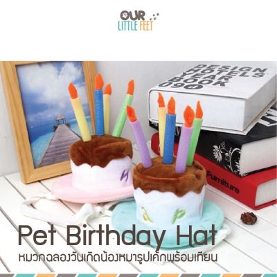 Birthday Party Hat หมวกวันเกิดน้องหมา/แมว รูปเค้กพร้อมเทียนโฟม