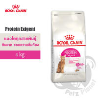 Royal Canin Protein Exigent อาหารสำหรับแมวโตกินอาหารยาก เลือกกิน ชอบอาหารที่มีโปรตีนสูง อายุ1ปีขึ้นไป ขนาด4กก.