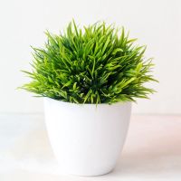 【CC】◈✥  1 Pcs Artificial Bonsai Potted Room Wedding Decoration Office Ornaments