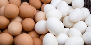 CHỈ GIAO HÀ NỘI 30 Quả Trứng gà