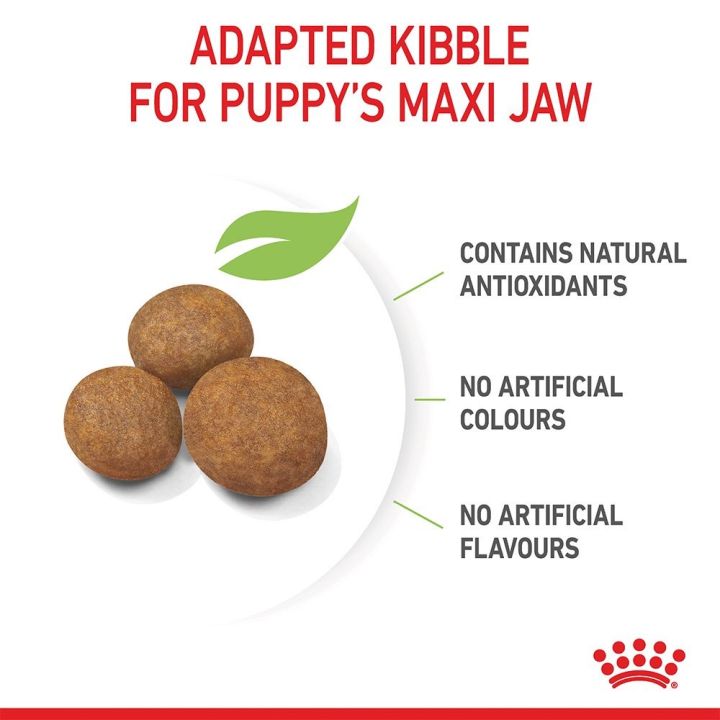 ส่งฟรี-royal-canin-maxi-puppy-4kg-อาหารเม็ดลูกสุนัข-พันธุ์ใหญ่-อายุ-2-15-เดือน