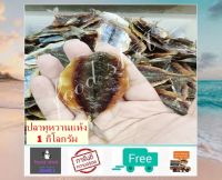 ปลาทูหวาน (1 กิโลกรัม) ส่งฟรี! ไม่ใส่สี ปลาทูหวานแห้ง ใหญ่ ทอดไฟอ่อนๆ สะอาด สด ใหม่ ไม่เหม็นหืน อาหารทะเลแห้ง สินค้าแห้ง food shot
