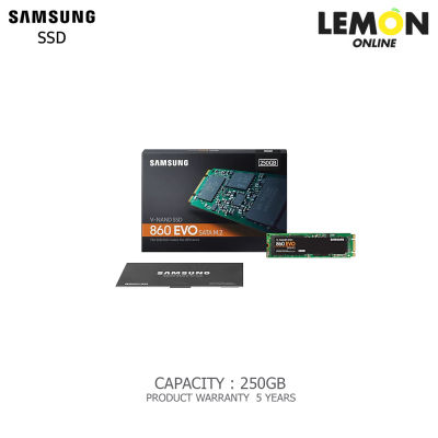 SSD SAMSUNG 860 EVO M.2 250GB  MZ-N6E250BW