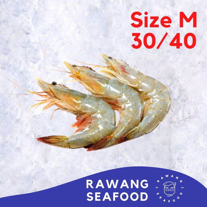 🔥READY STOCK🔥 Prawn White Sabah 沙巴明虾 30/40 Size M (±700g)/ Ming Prawn A ...