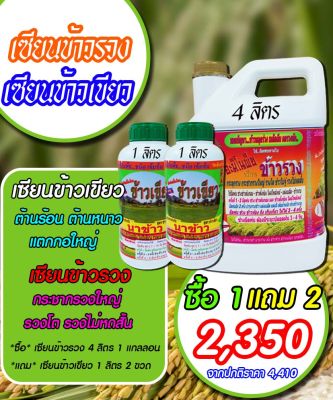 [พร้อมส่ง] เซียนข้าวรวง 4ลิตร แถมเซียนข้าวเขียว 1 ลิตร 2ขวด ฮอร์โมนข้าว ปุ๋ยฉีดข้าว เร่งต้น เร่งใบ ปุ๋ยฉีดทางใบ ปุ๋ยน้ำ ฮอร์โมนพืช