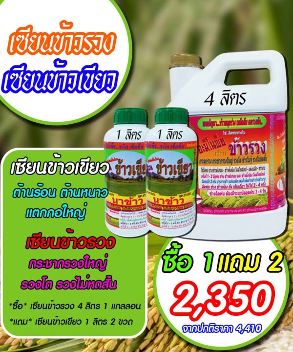 พร้อมส่ง-เซียนข้าวรวง-4ลิตร-แถมเซียนข้าวเขียว-1-ลิตร-2ขวด-ฮอร์โมนข้าว-ปุ๋ยฉีดข้าว-เร่งต้น-เร่งใบ-ปุ๋ยฉีดทางใบ-ปุ๋ยน้ำ-ฮอร์โมนพืช