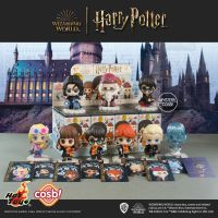 [แยกกล่อง] Harry Potter Cosbi Collection Mystery Hot Toys