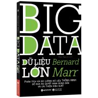 Sách Big Data - Dữ Liệu Lớn Bernard Marr thumbnail