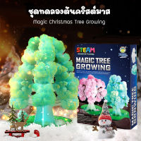 VB072 ชุดทดลองวิทยาศาสตร์ ชุดทดลองทำต้นคริสต์มาส Magic Christmas Tree Growing STEAM ของเล่นวิทยาศาสตร์ ของเล่นต้นคริสมาสของเล่นเสริมพัฒนาการ