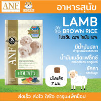 *ลดคราบน้ำตา แพ้ง่าย เนื้อแกะ* ANF Holistic อาหารสุนัข สูตร Lamb &amp; Rice ขนาด 6 kg เม็ดเล็ก