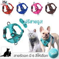 NP  [] PET HARNESS สายรัดอก แมว พร้อมสายจูง สายรัดอกสุนัข ระบายความร้อน สายรัดอกหมา สายจูงสุนัข Cleverpet H01 Pet