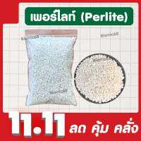 เพอร์ไลท์ Perlite (ขนาด 4-8 mm) วัสดุปลูก แคคตัส และ ไม้อวบน้ำ (สินค้านำเข้า พร้อมจัดส่ง)