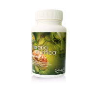 สมุนไพรสกัดธรรมชาติ กวาวเครือขาว Stherb Pueraria Mirifica Breast Capsules 60 แคปซูล