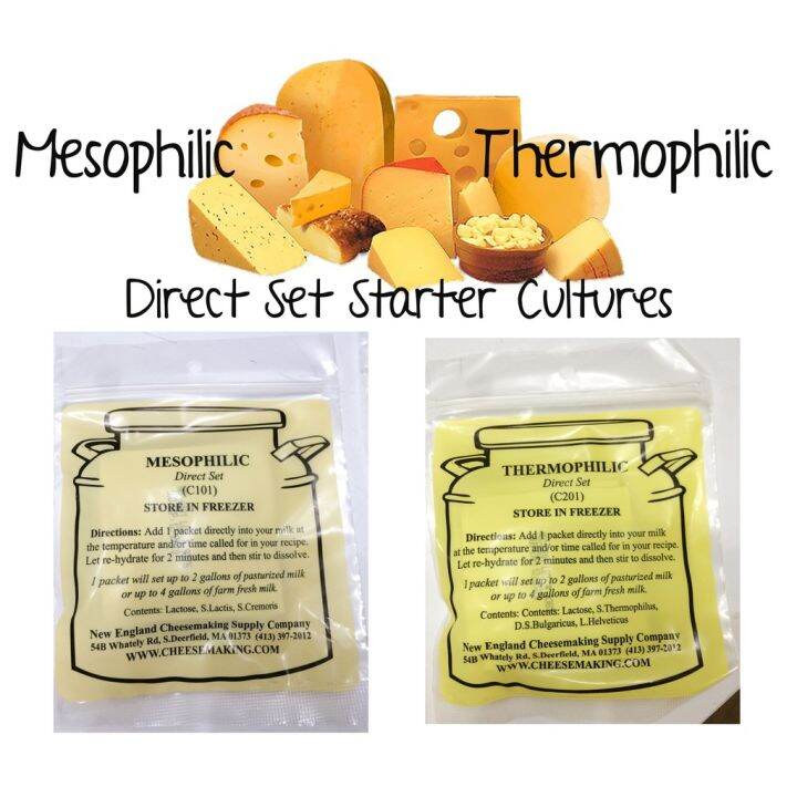 Mesophilic Thermophilic Direct set cheese starter culture Lazada PH