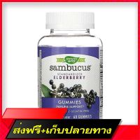 Fast and Free Shipping Natures Way, Sambucus Gummies, Standardized Elderberry, 60 Gummies Ship from Bangkok