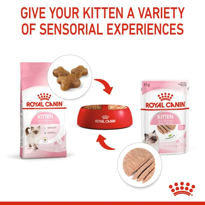 royal-canin-kitten-loaf-12-ซอง-อาหารลูกแมว-4-12-เดือน