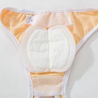 Dog Diaper Pad Female Sanitary Pants Doggie Physiological Pant Dog Diaper Diapers for Female Dog Shorts Panties