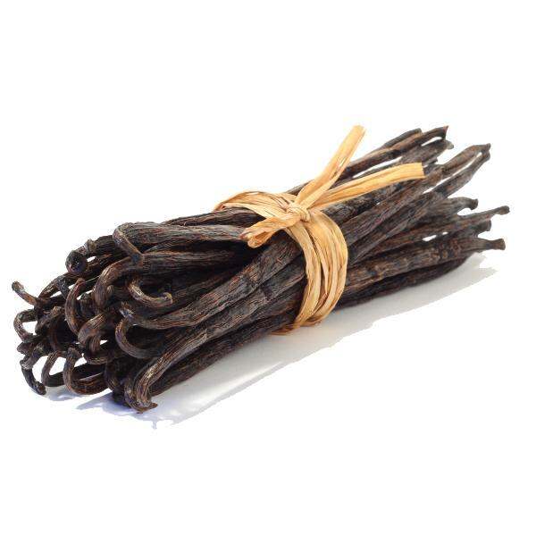 Vanilla Bean / Biji Vanila (harga per pcs) Lazada Indonesia