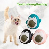 Catnip Balls Grinding Teeth Interactive Mint Edible Safety Snack Bite Resistant Supplies