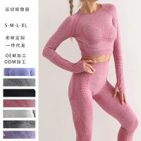 2023 Seamless Yoga Suit Set Womens Yoga Top High Waist Hip Lift Sports Gym Tights