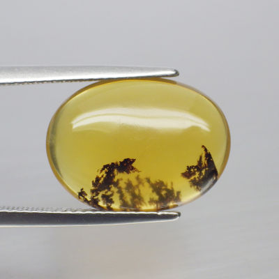 พลอย โอปอล ต้นไม้ ธรรมชาติ แท้ ( Unheated Natural Dendrite Dendritic Opal ) 5.65 กะรัต
