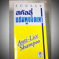 WOW? แชมพูขจัดเหา SCALLY SIZE พี่ใหญ่ 200 ML สะใจ[รหัสสินค้า]779