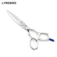 Hair shears 6 INCH Sliding Hair Scissors Sword Blade Barber Scissors Professional HIGH CLASS Lyrebird NEW