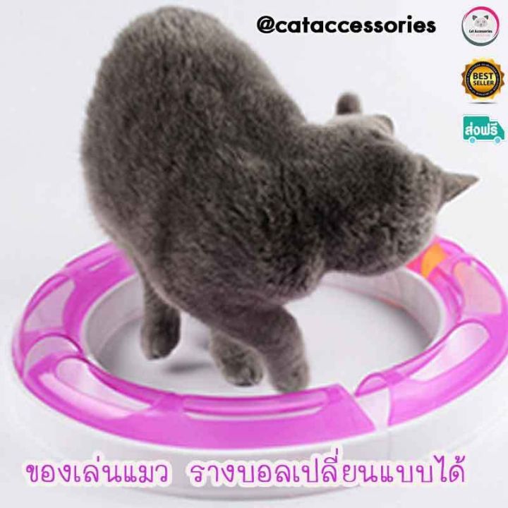cat-accessories-ของเล่นรางบอลพลาสติก-ของเล่นแมว-รางบอลสำหรับแมวเขี่ยเล่น-ลูกบอลในรางพลาสติก-รุ่นround-bout-สามารถถอดประกอบเปลี่ยน-อุปกรณ์เลี้ยงแมว-รูปทรงได้มี-2-สีให้เลือก