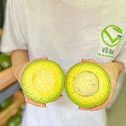 GIAO TOÀN QUỐC COMBO 5KG VG FARM Bơ Booth Lâm Đồng - Trái già hái trực