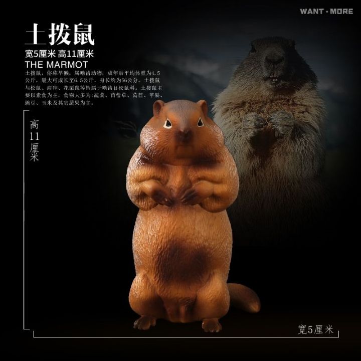 simulation-model-of-mice-hamster-wildlife-toy-chipmunks-chipmunk-marmot-early-childhood-cognitive-3-10-years-old