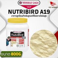 NutriBird A19 อาหารลูกป้อนสูตรไขมันสูง (กระปุก800g)